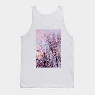 Barren trees ~ evening sky Tank Top